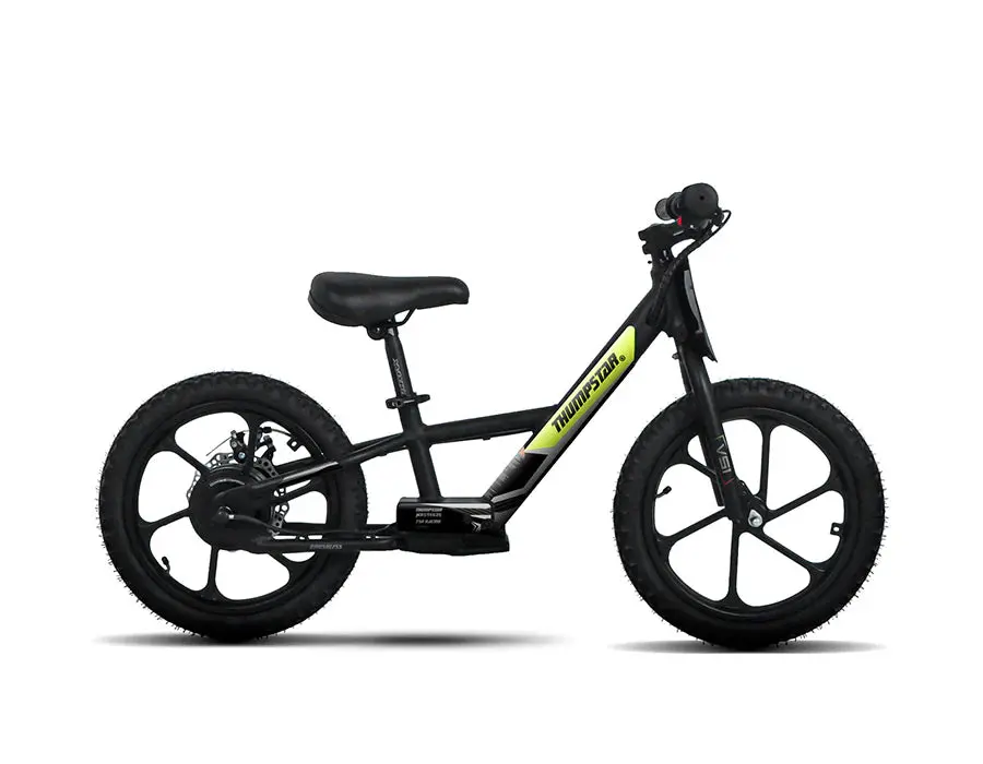 Thumpstar - Tse16h| Electric Balance Bike | 16In 1