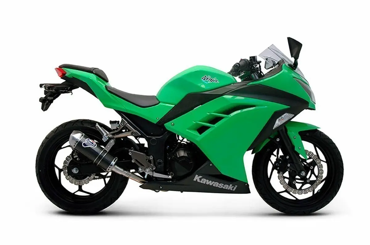 Termignoni Stainless Steel And Carbon Slip-On Exhaust For Kawasaki Ninja 300 (2012–2017) 1