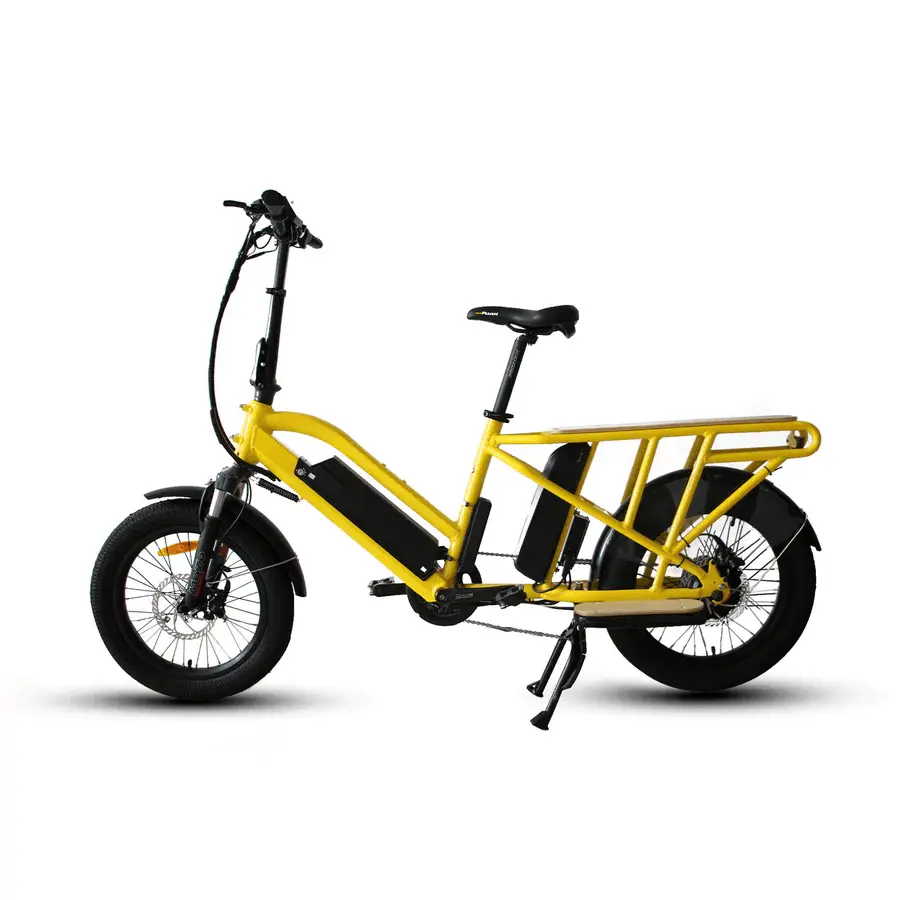 Eunorau G30 Cargo Electric Bike 1