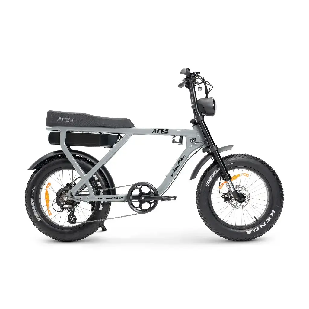 Ampd Brothers Ace-X Plus+ Electric Bike (750W) 1