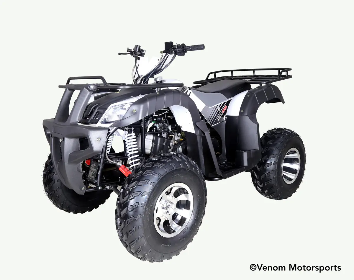 200Cc Kodiak Atv | Fully Automatic + Reverse | Full Size Atv 1