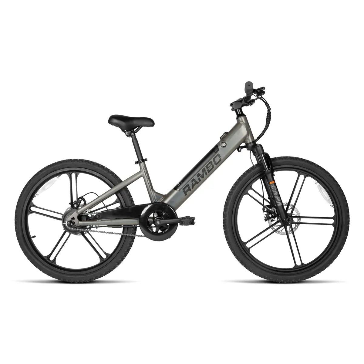 Kid's 24" Chameleon 1