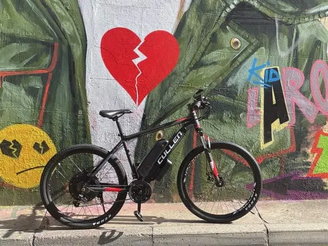 The Cullen E-Bike-1000W 48V 13Ah (Pedal Assist & Throttle) Version 2 1