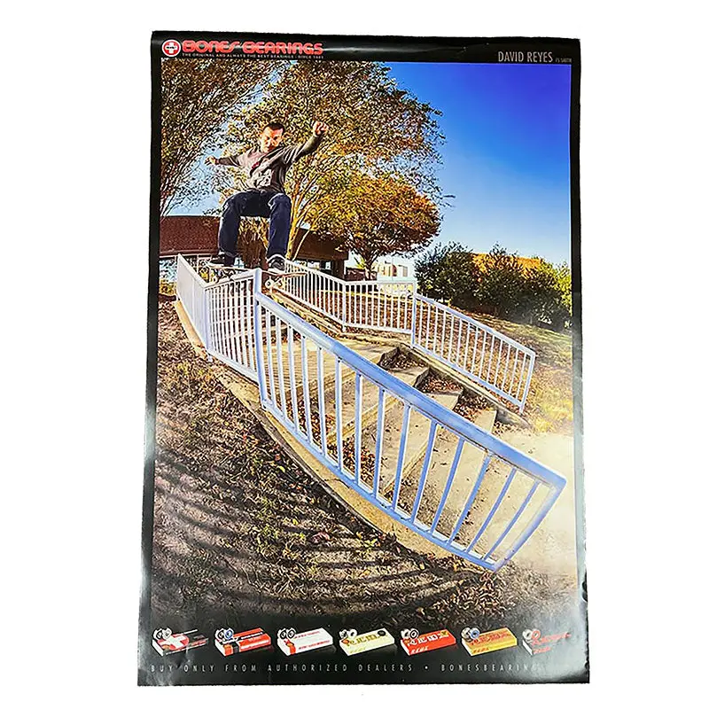 Bones Bearings 24" X 36" David Reyes Poster 1