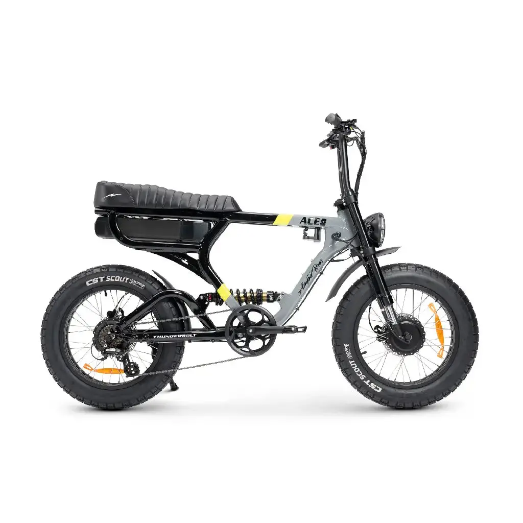 Ampd Brothers Ace-X Demon Dual Motor Electric Bike 1