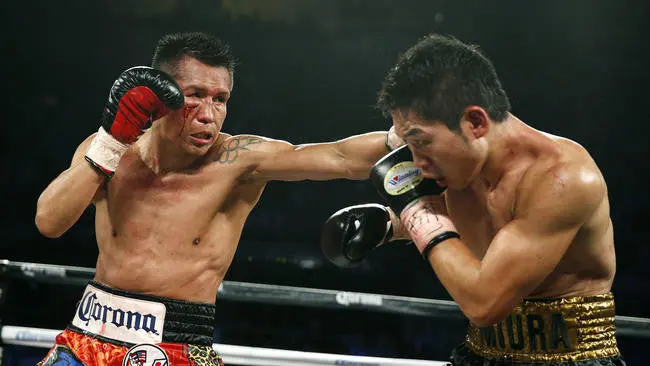 Francisco Vargas Boxing Dvd Set 1