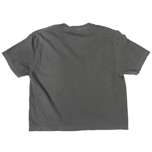 Fasthouse - Renown Crop Tee (Womens) 2