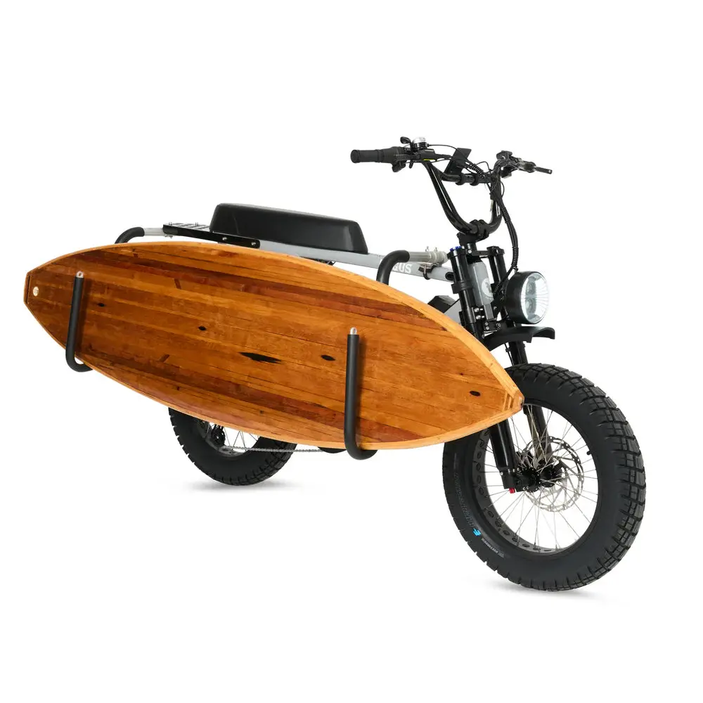 Fatboy Longboard Bike Rack 1