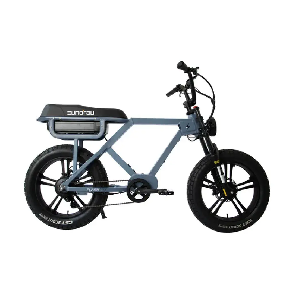 Eunorau Flash - Fat Tyre Ebike 1