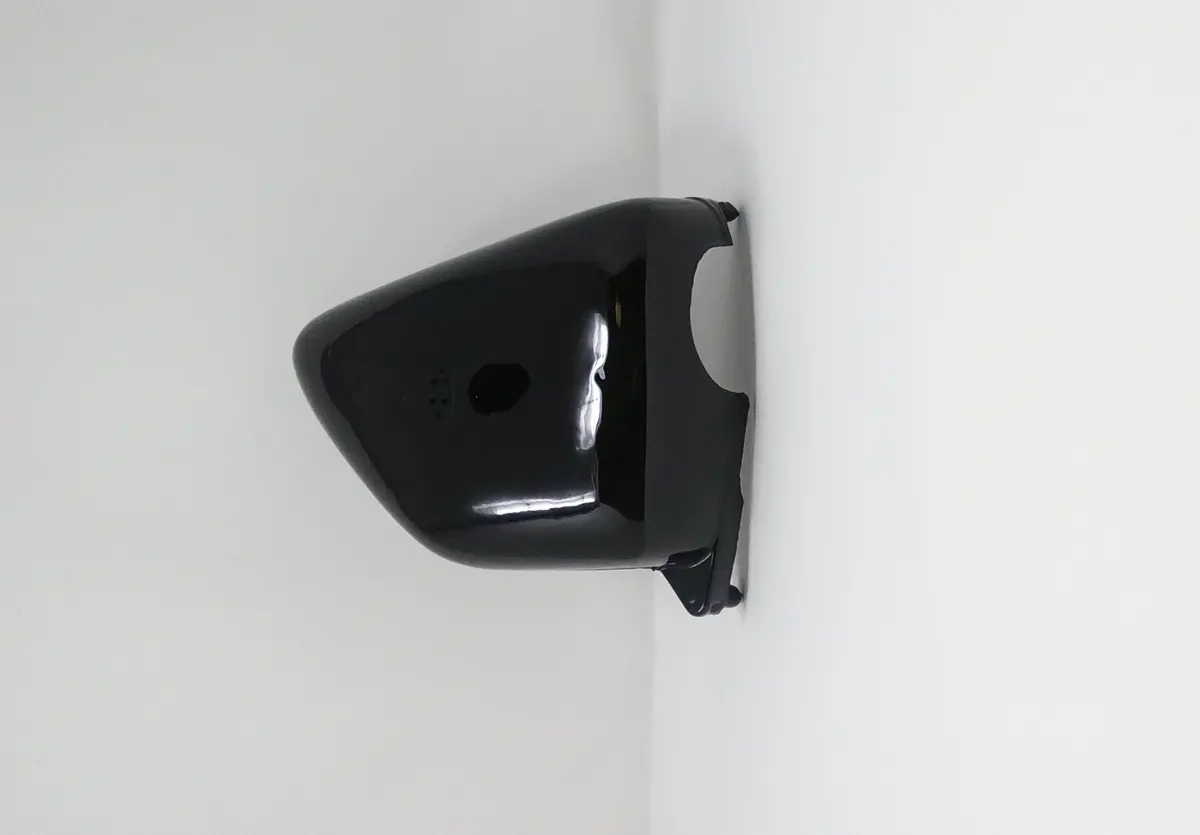 Sportster 250Cc Chopper | Right Side Cover (03010667) 4