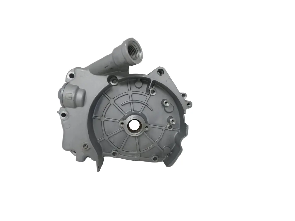 X19 200C Automatic Motorcycle | Right Cover (2.20.07.01.99000) 1