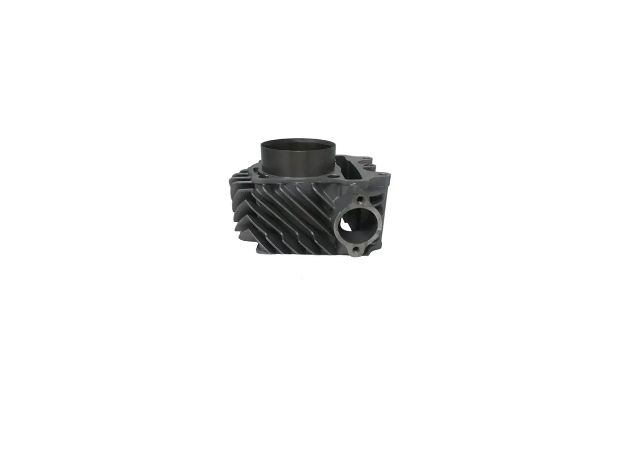 X19 200Cc Automatic Motorcycle | Cylinder Block (1.20.02.09.03000) 1