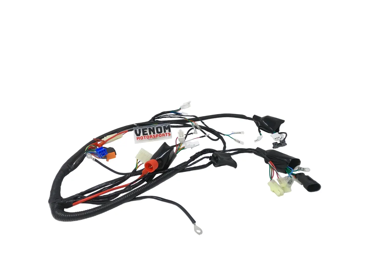 X19 200C Automatic Motorcycle | Wiring Harness (8010078-1) 1