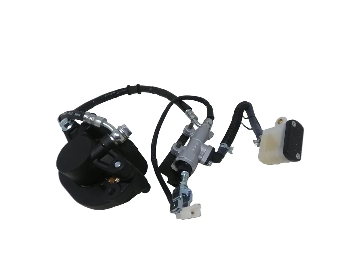 Superbike 250Cc Bd250-5 | Rear Brake Assembly (250005054) 1