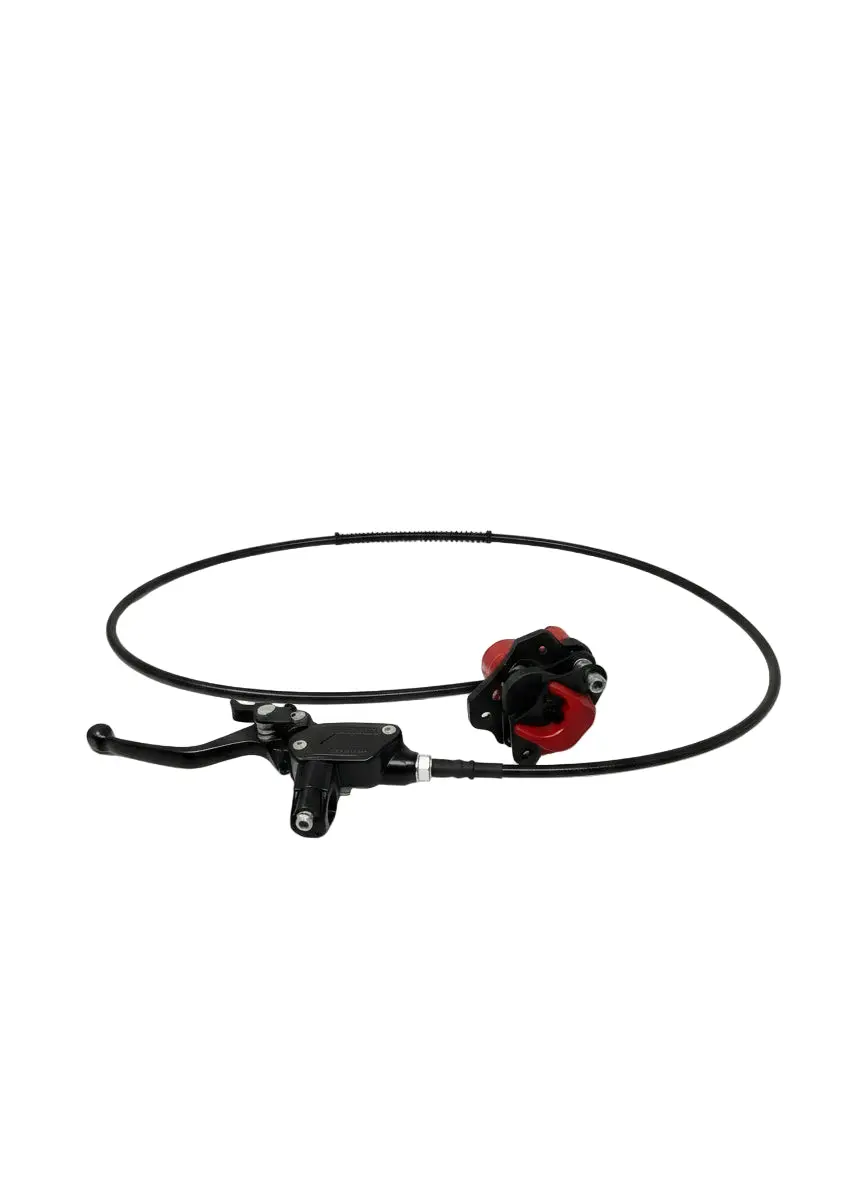 1500W E-Grizzly 48V Atv | Rear Brake Assembly (12501B-070311A) 1