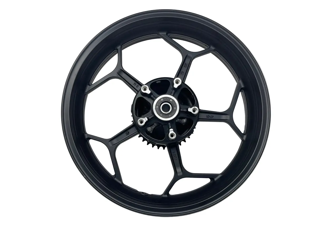 X22r Max 250Cc Motorcycle | Rear Rim (H6-70044) 3