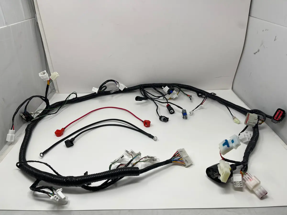 X22r Max 250Cc Motorcycle | Wiring Harness (H6-70122) 1