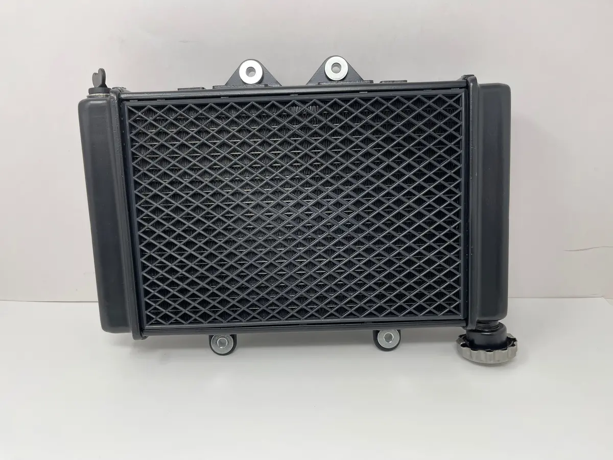 X22gt 250Cc Automatic Motorcycle | Radiator W/ Fan (Yy350-6E-2101009) 1