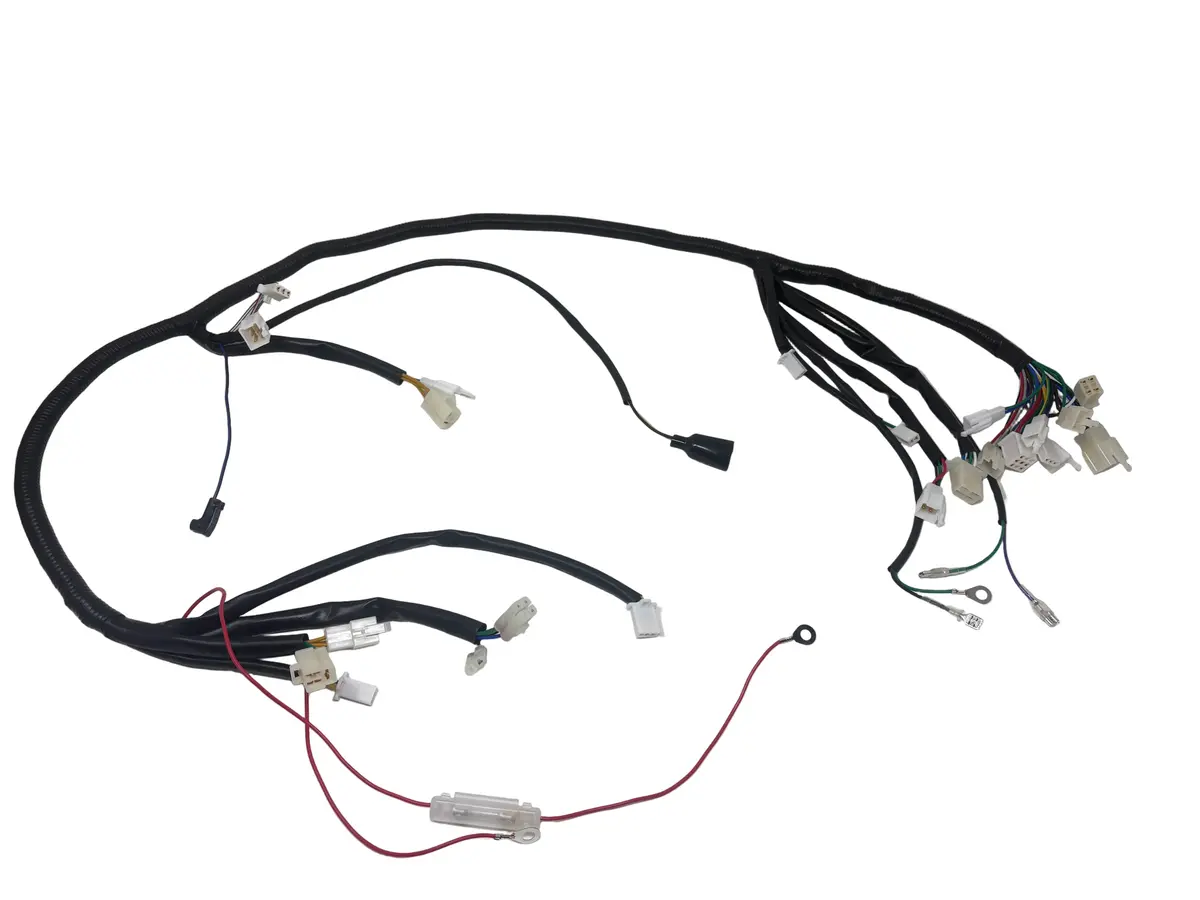 Venom Mad Max 250Cc - Wiring Harness (25011A-160901C-Pt) 1
