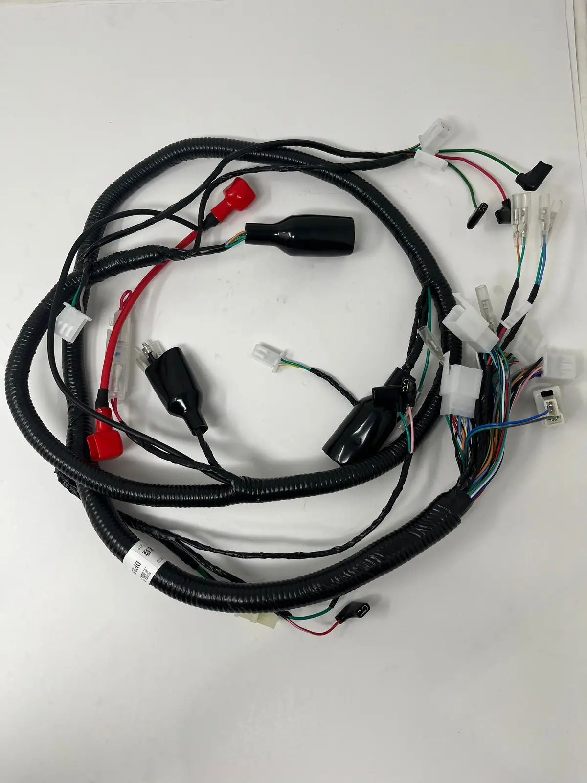 X22r 250Cc | Wiring Harness (08010102) 1