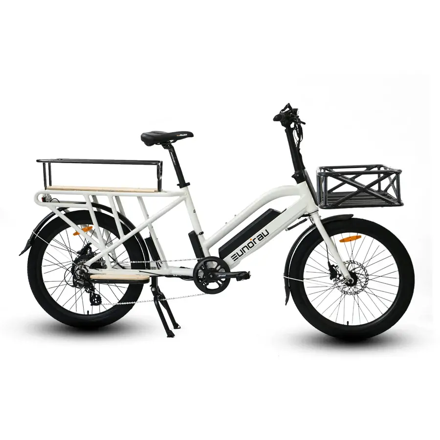 Eunorau Max Cargo - 24'' Wheel Electric Bike 48V 250W E-Bike 1