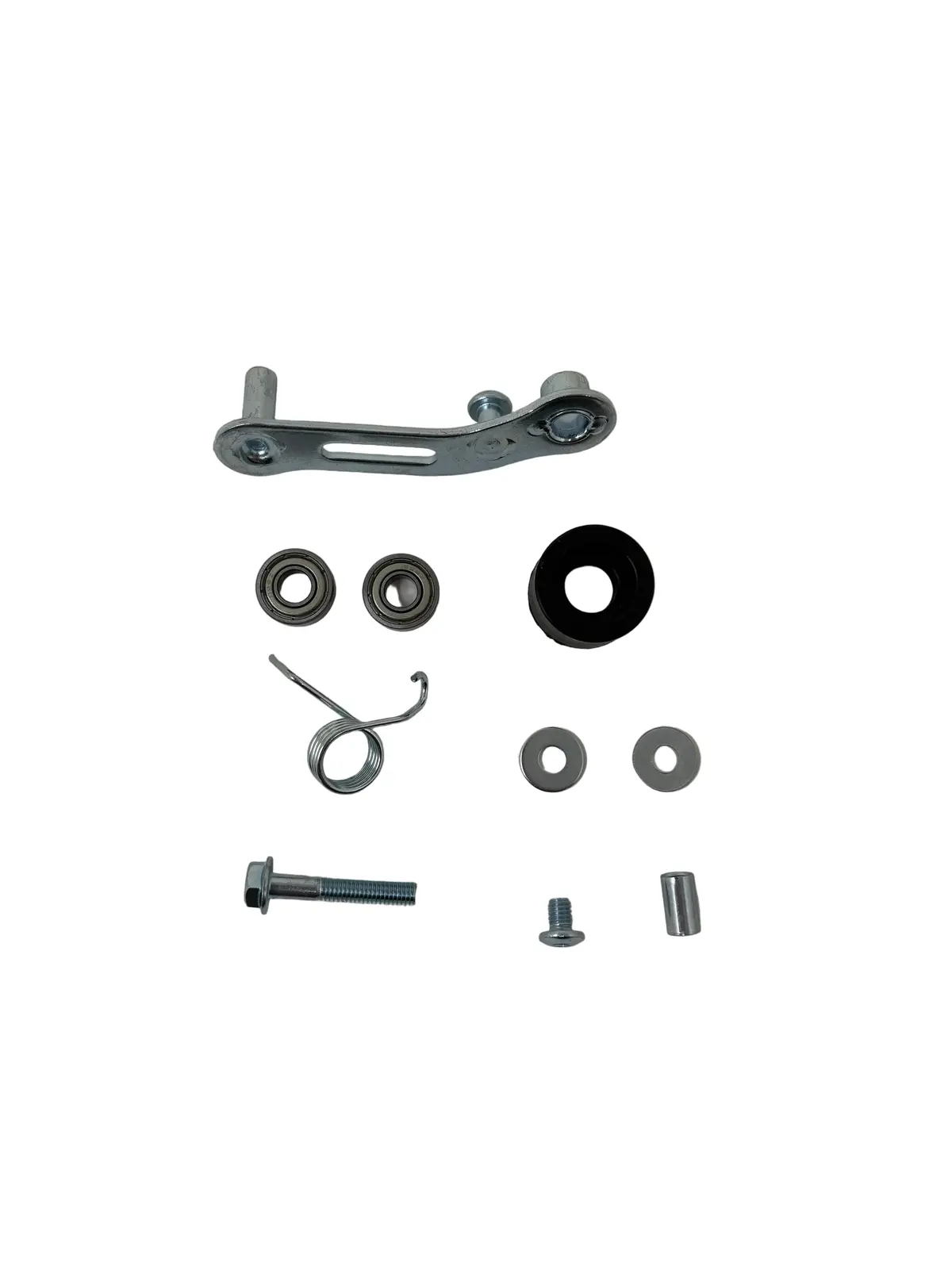 1300W E-Madix Atv | Chain Tensioner Assembly (305350001) 1