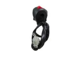 Lifan Kpm200 Motorcycle | Right Combination Switch (Kpmf03-06) 1