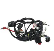 Lifan Kpm200 Motorcycle | Wiring Harness (Kpmf18-01) 1
