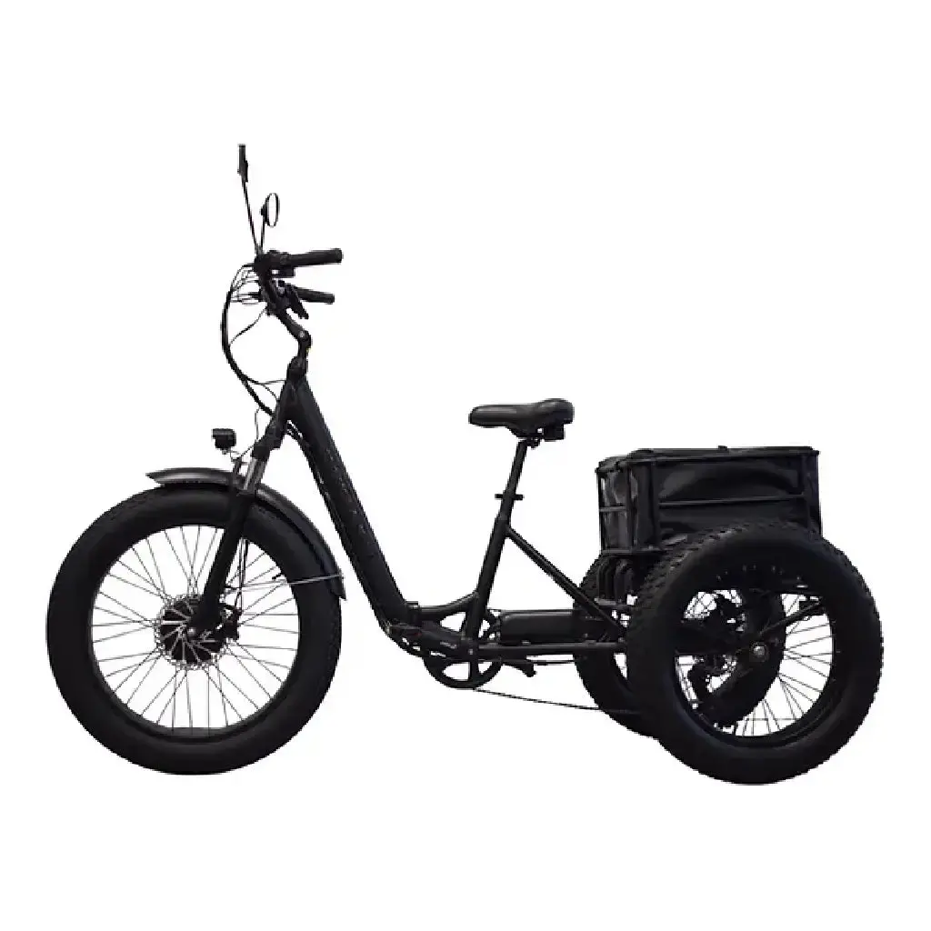 Kristall Ex200 E-Trike 48V20ah – Power, Stability, And Maximum Cargo Capacity 1