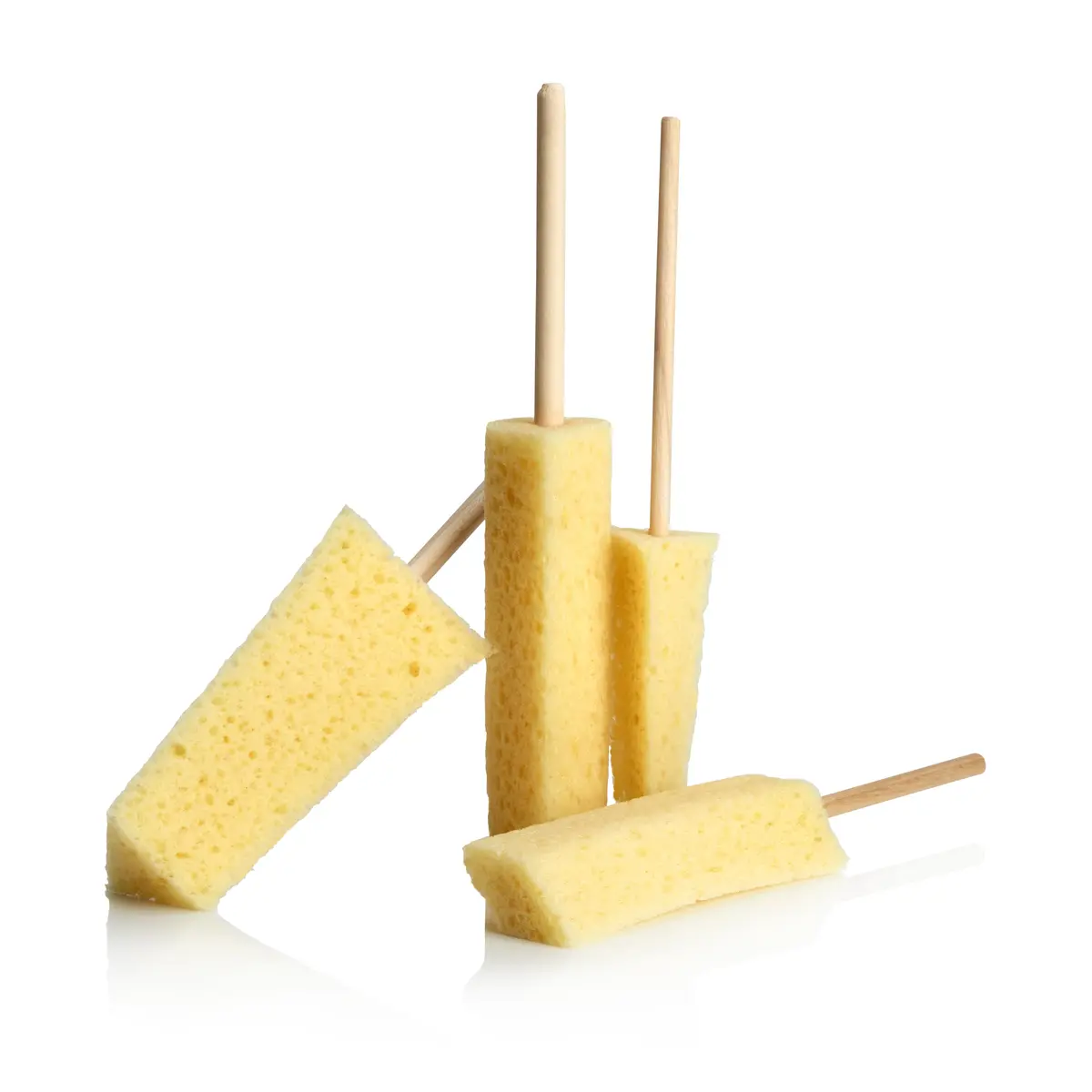 Sponge Guru - Precision Detailing Sponge Kit 1