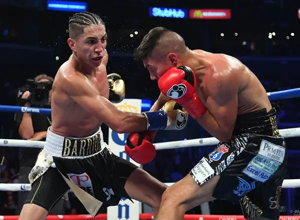 Mario Barrios Boxing Career Dvds 1