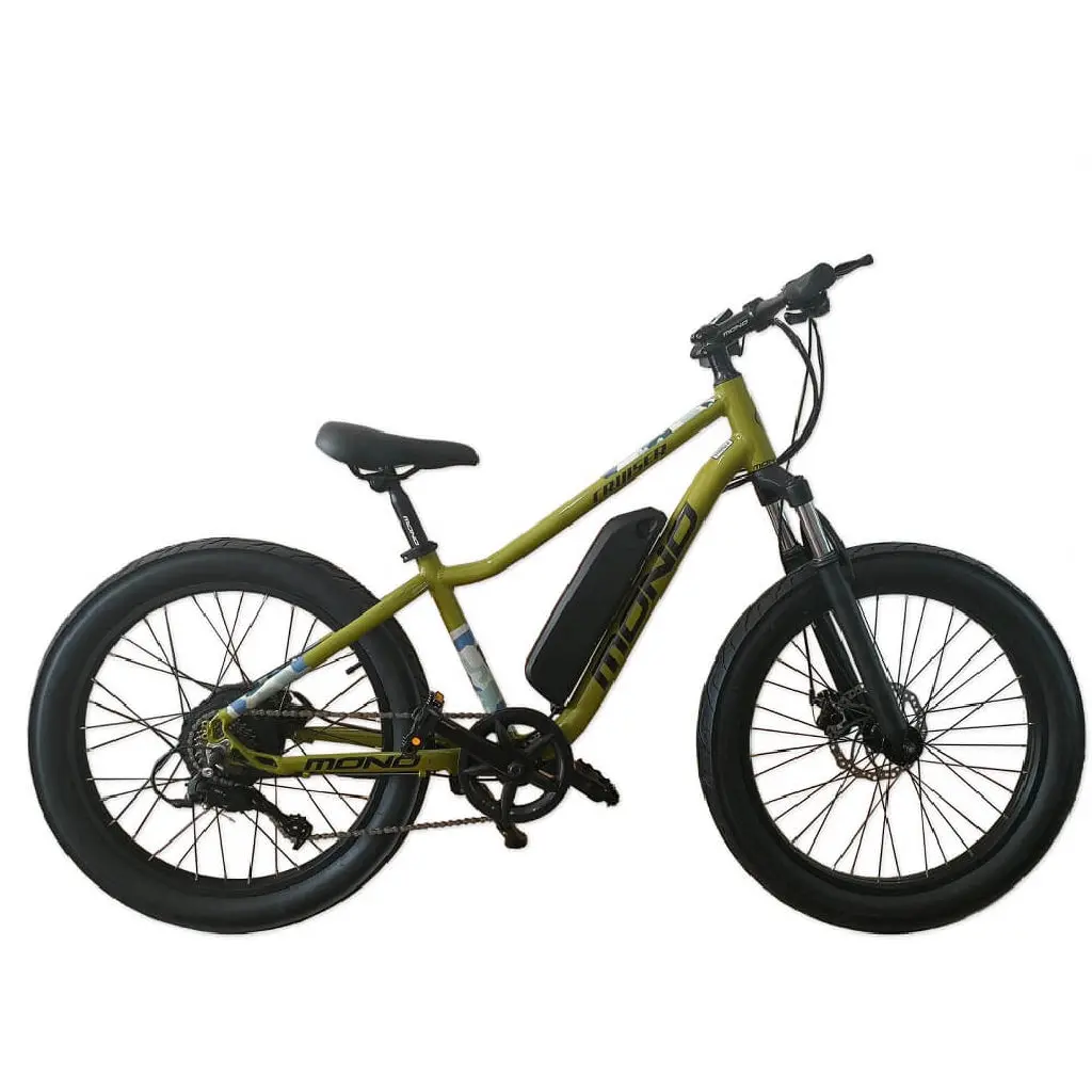Sunmono 24 Electric Cruiser Bike Juno 1