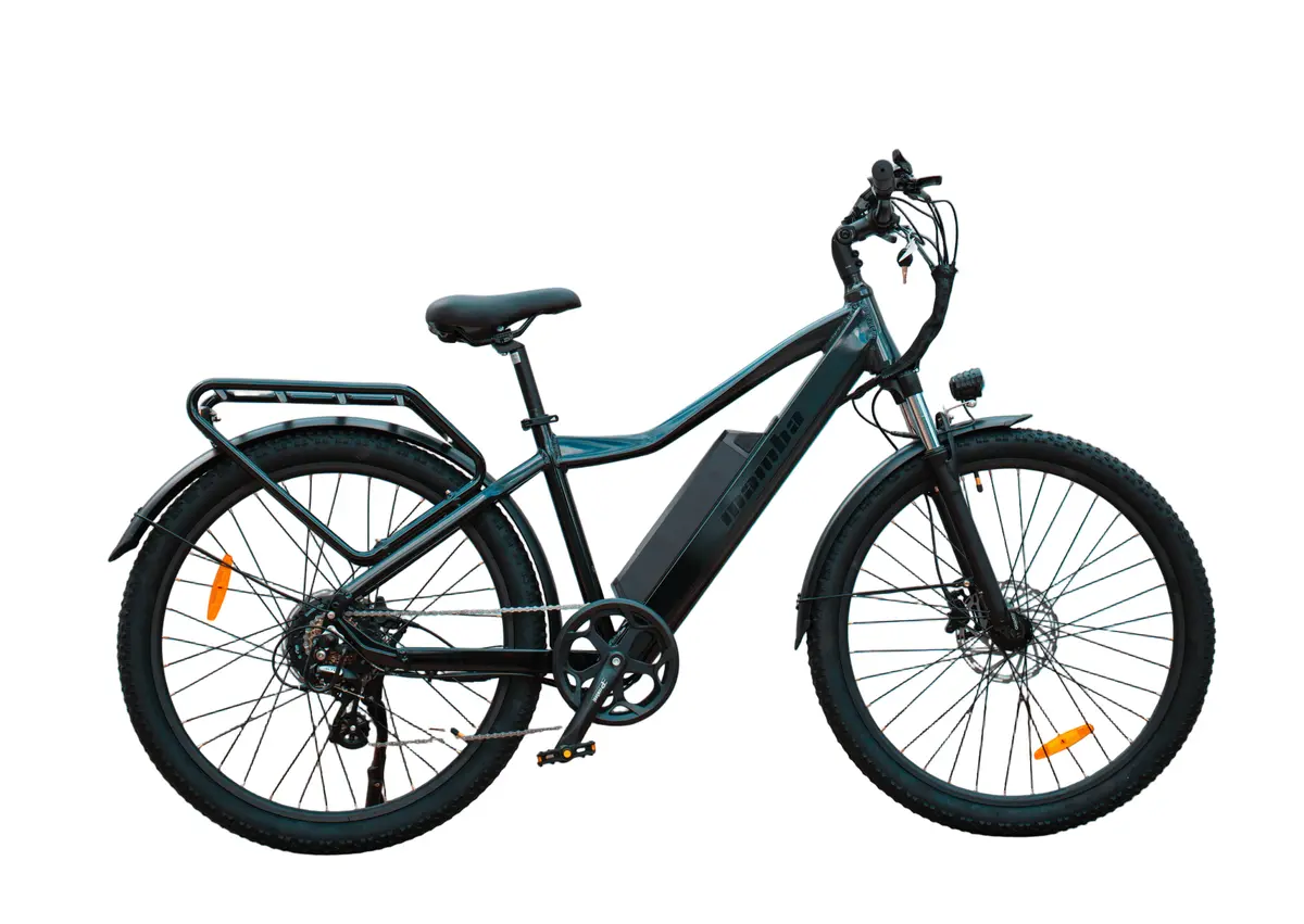 Mamba Venom — All-Rounder E-Bike 48V 18Ah 1