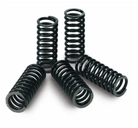 Pro Circuit - Clutch Springs 1