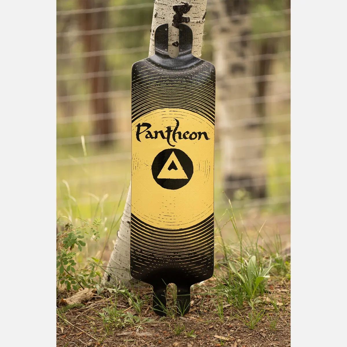 Pantheon - Pranayama (Gong) 31" - Enjoy $80 Off Upon Purchase Of A Board Now Or Before! 1