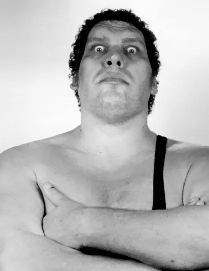 Andre The Giant Wrestling Career Dvd Set 1