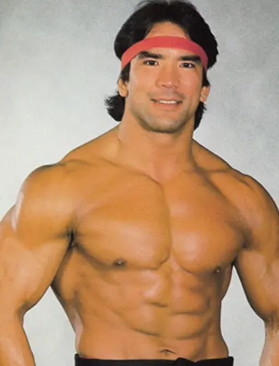 Ricky Steamboat Wrestling Career Dvds 1