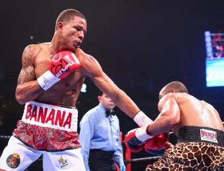 Jeison Rosario Boxing Career Dvds 1