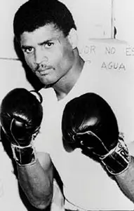 Pablo Baez Boxing Career Dvds 1