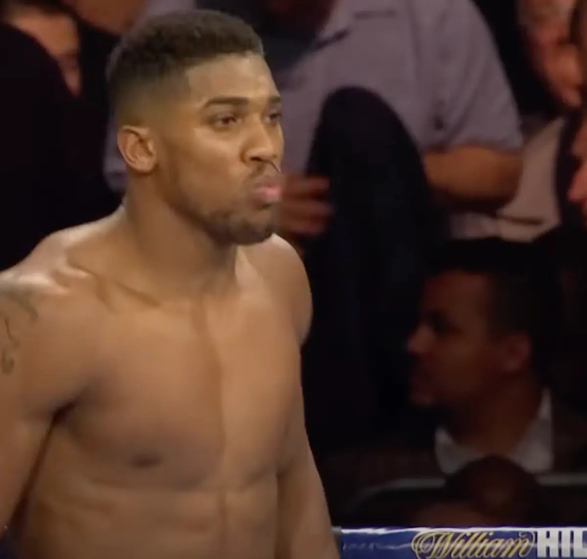 Anthony Joshua Boxing Career Dvds 1