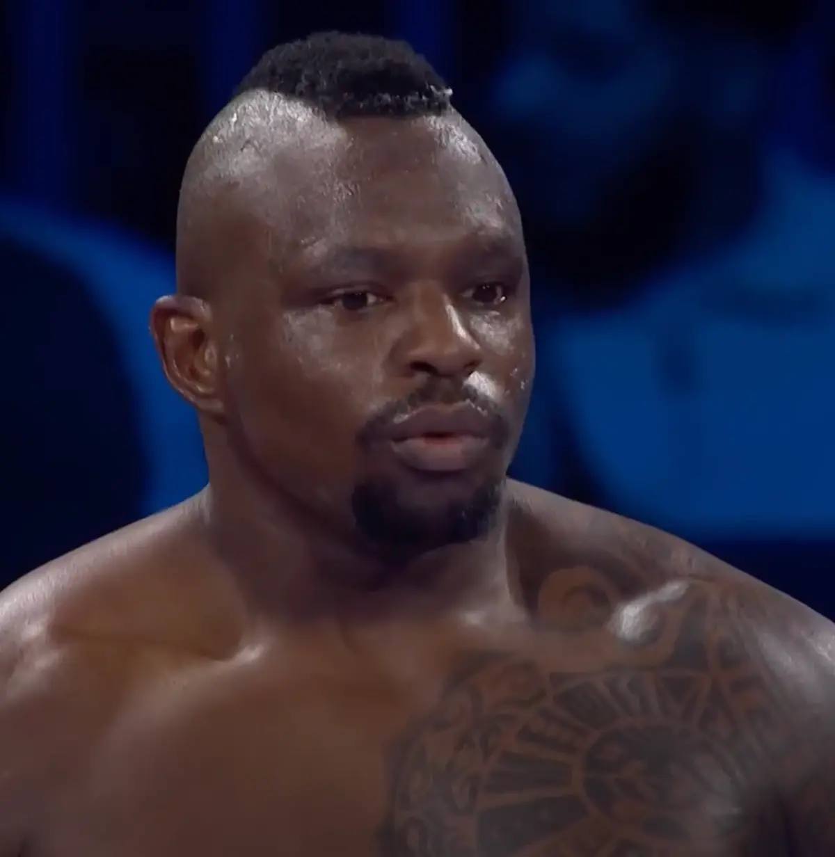 Dillian Whyte Boxing Career Dvds 1