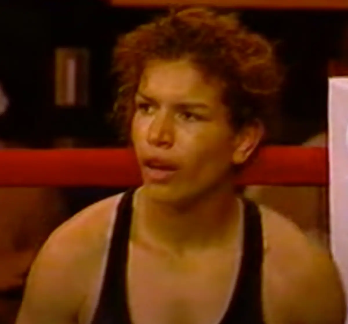 Lucia Rijker Boxing Career Dvds 1
