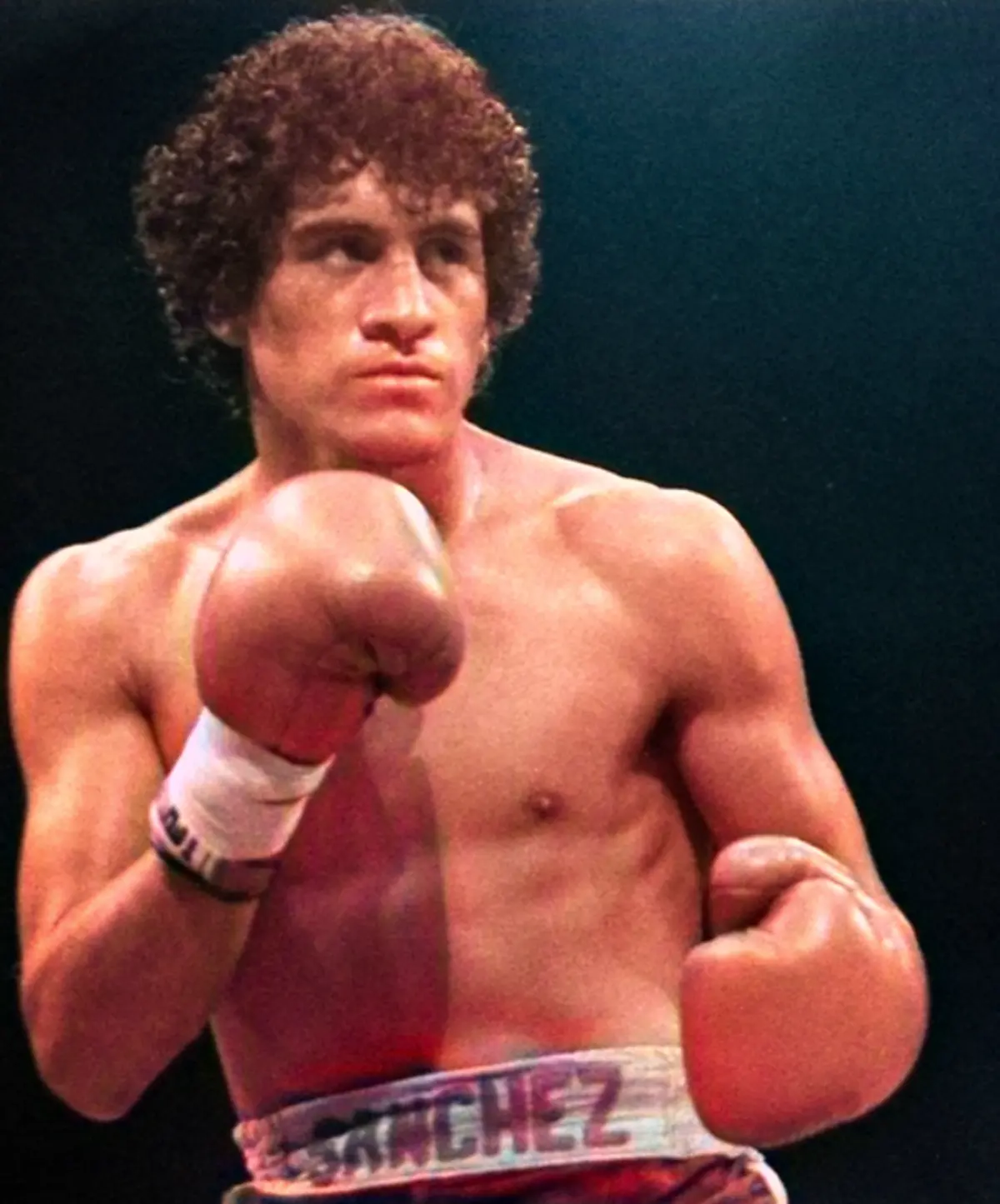 Salvador Sanchez Boxing Career Dvd Set 1