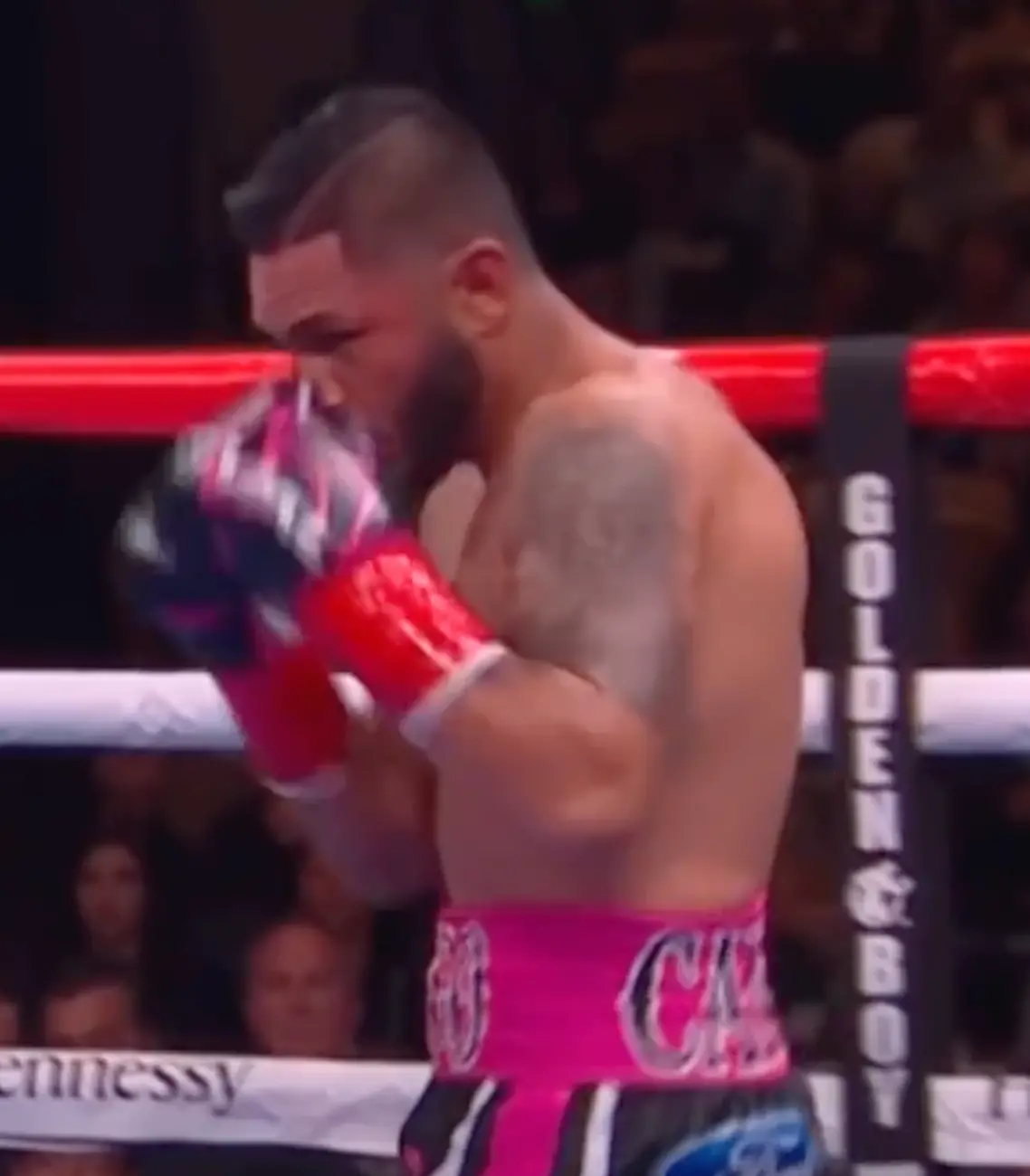 Andrew Cancio Career Boxing Dvds 1