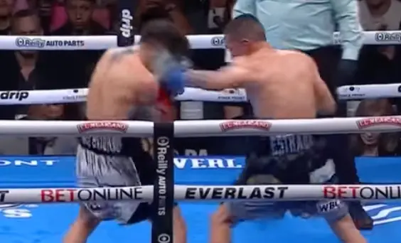 Juan Francisco Estrada Boxing Dvds 1