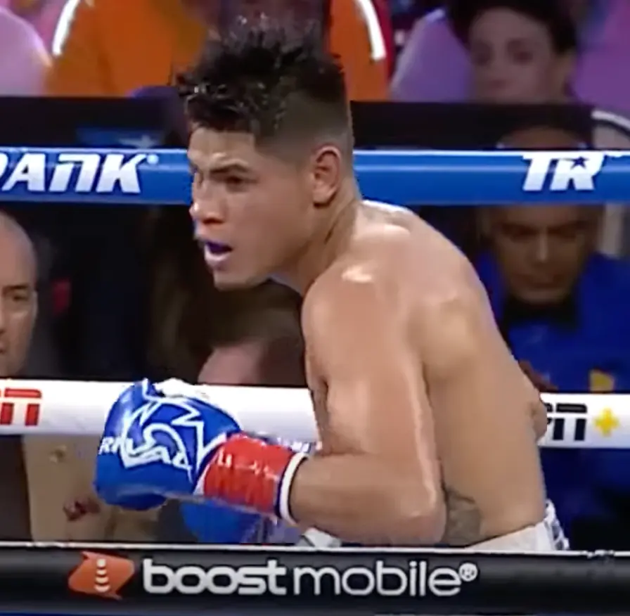 Emanuel Navarette Boxing Career Dvds 1
