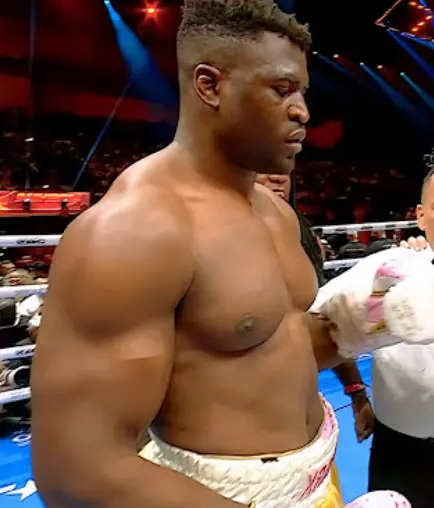 Francis Ngannou Mma Career Dvds 1