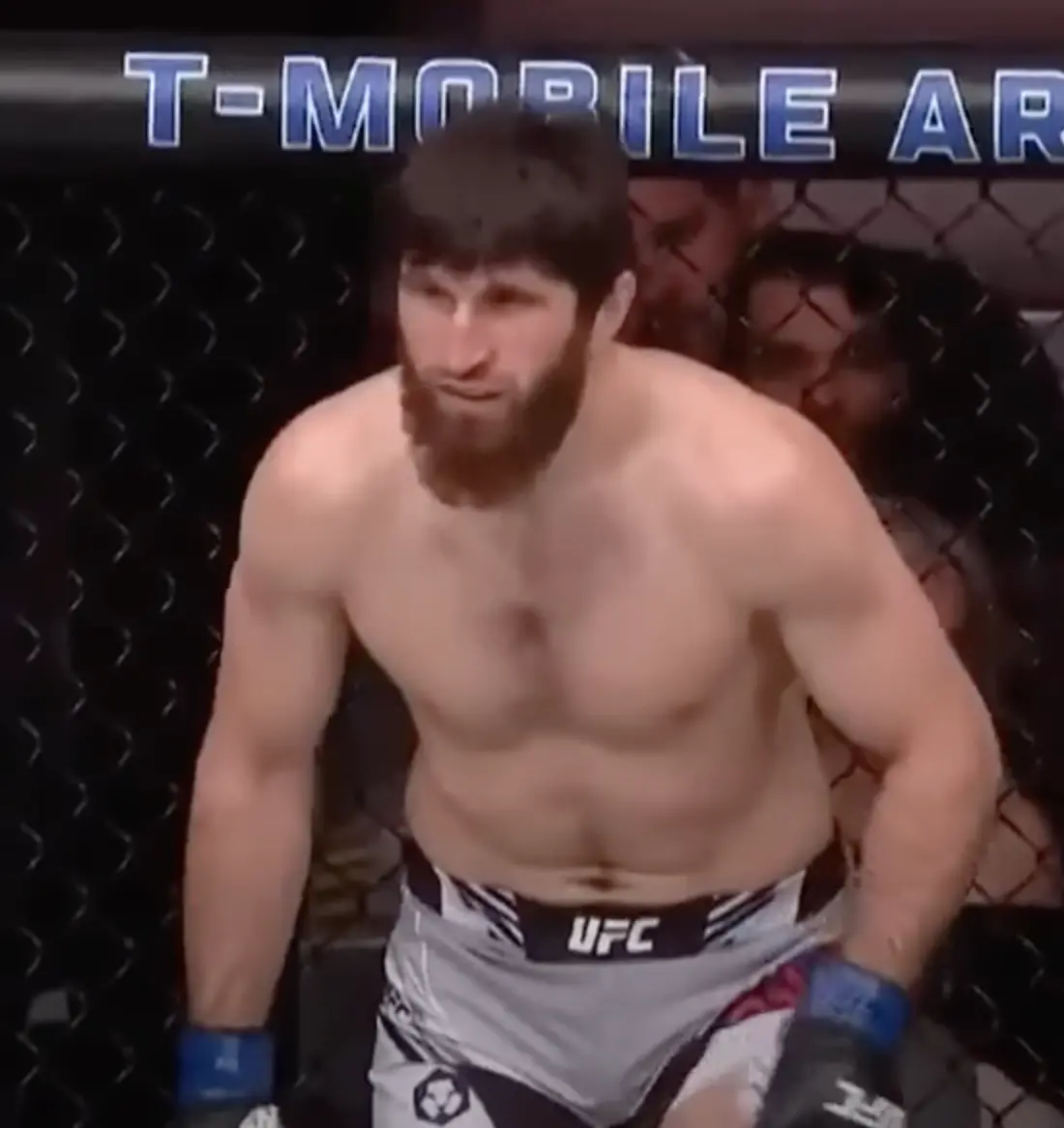 Magomed Ankalaev Mma Career Dvds 1