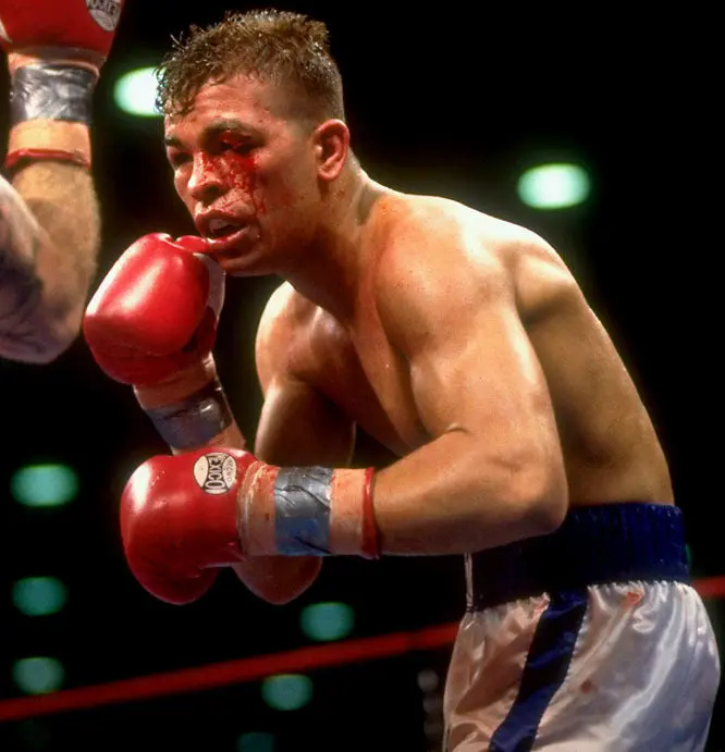 Arturo Gatti Boxing Career Dvds 1