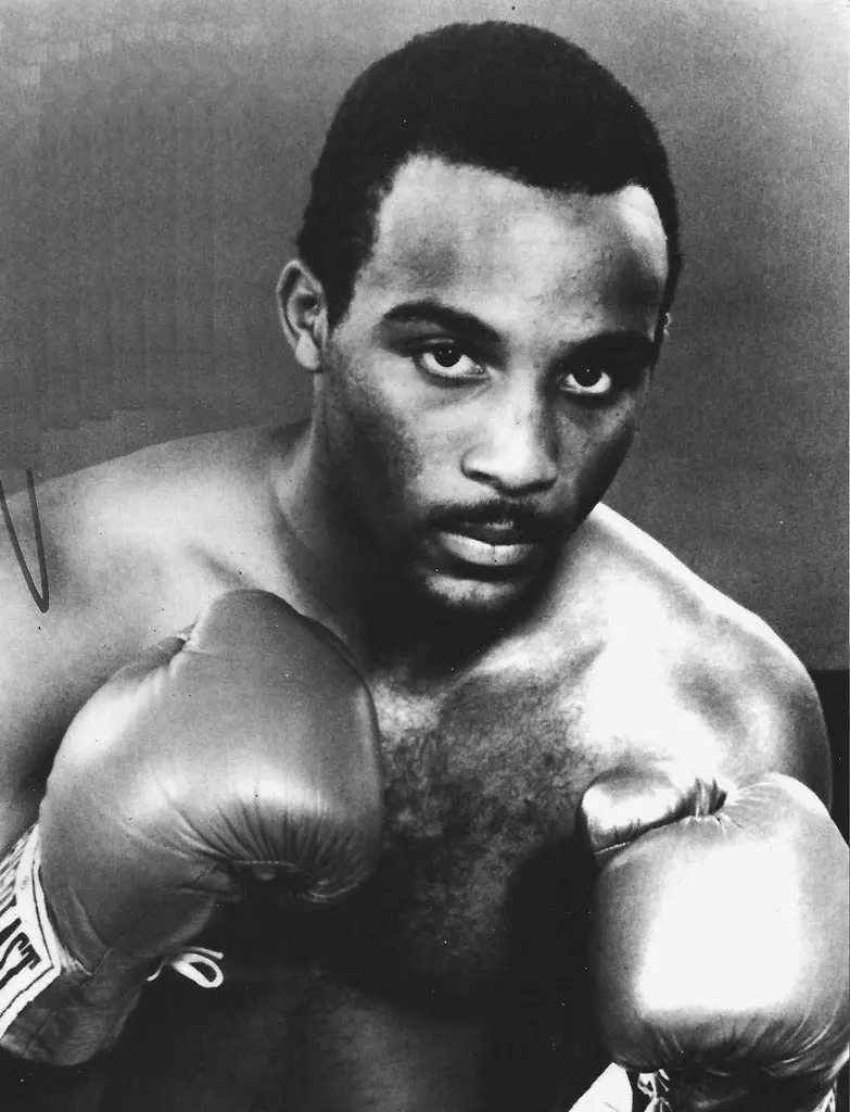 Buddy Mcgirt Boxing Dvd Set 1